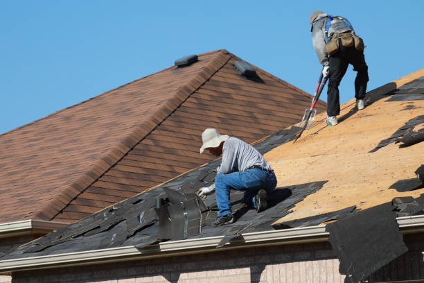 Best Solar Panel Roofing Installation  in San Felipe, TX